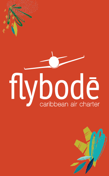 Fly Bode Brand Logo and Brand Elements